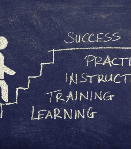Conseil et Mentoring d’un Directeur Général